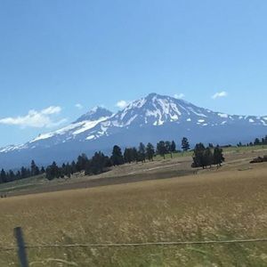 Meet your Posher, Zoe